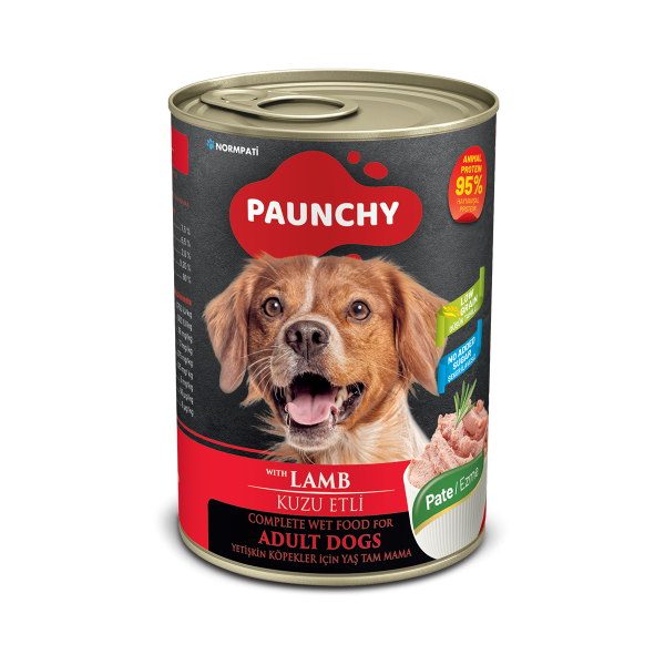 Paunchy Kuzu Etli Yetişkin Köpek Yaş Maması