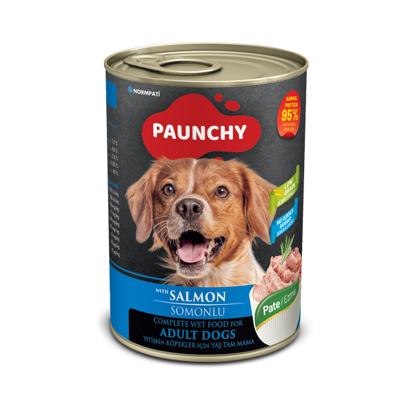 Paunchy Somonlu Yetişkin Köpek Yaş Maması